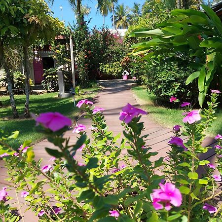 Hotel Casa Robinson Las Terrenas Esterno foto