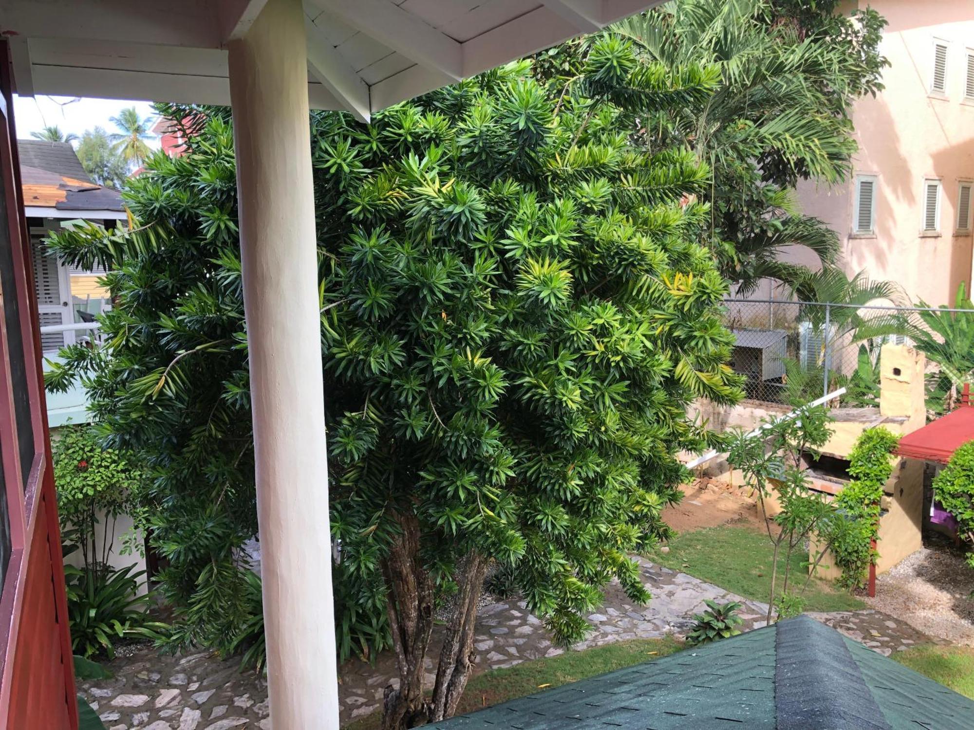 Hotel Casa Robinson Las Terrenas Esterno foto