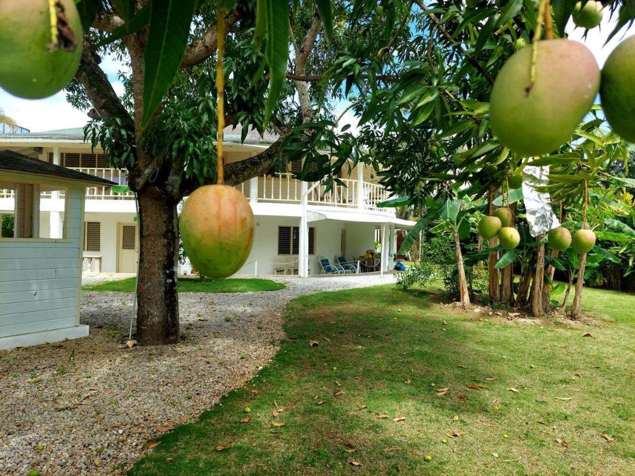 Hotel Casa Robinson Las Terrenas Esterno foto