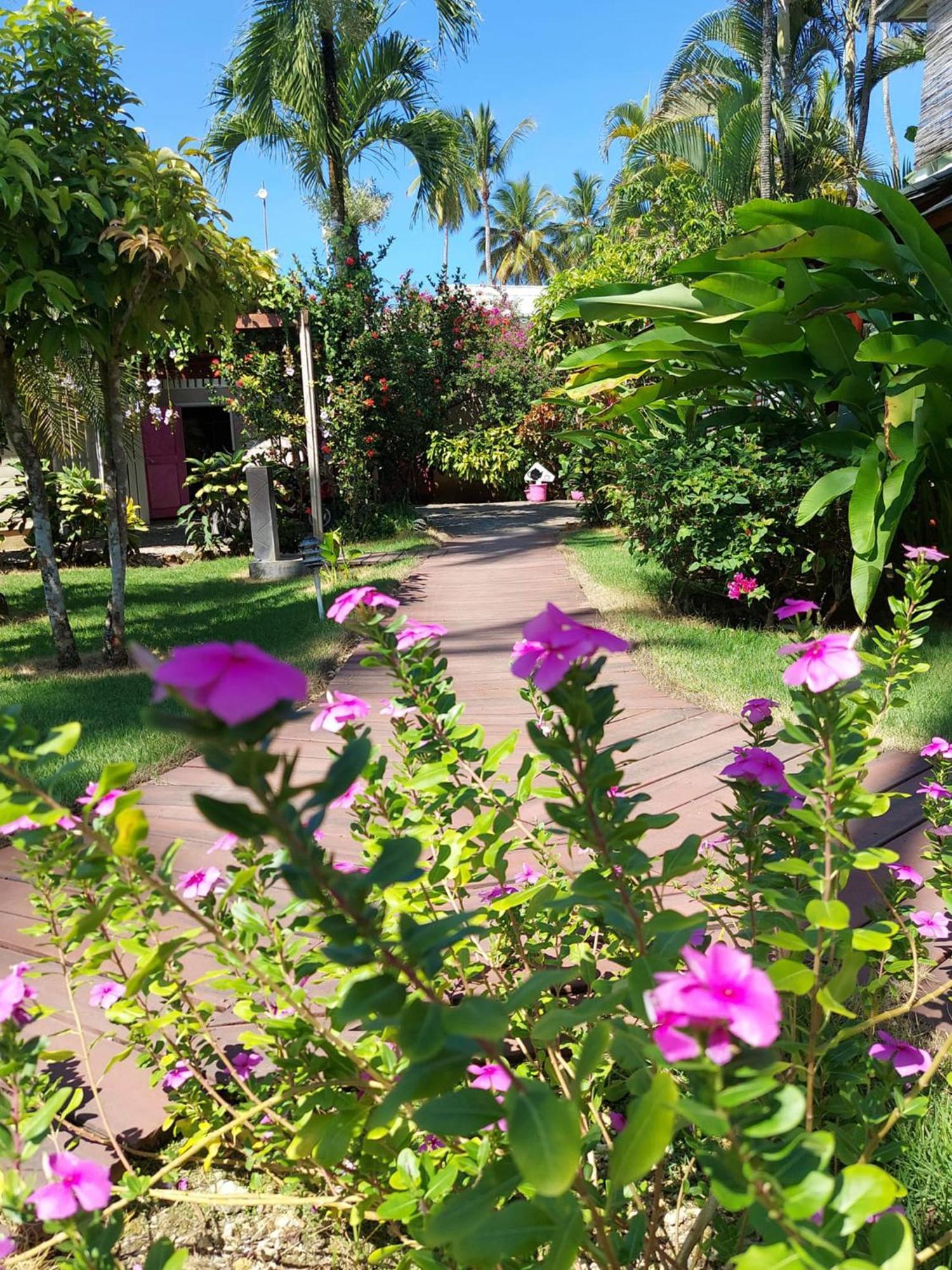 Hotel Casa Robinson Las Terrenas Esterno foto